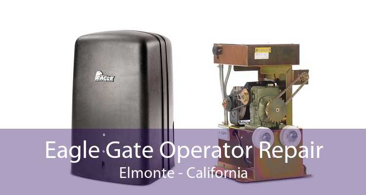 Eagle Gate Operator Repair Elmonte - California